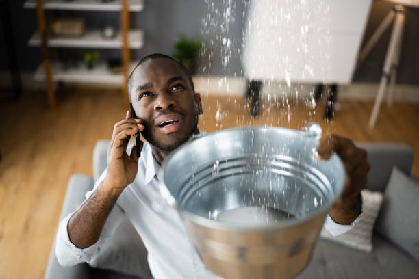 Best Local water damage restoration  in Swifton, AR