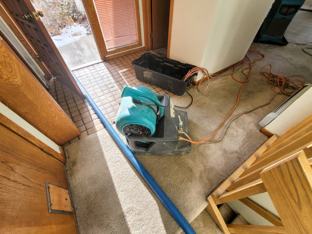 Best Fire Damage Restoration  in Swifton, AR