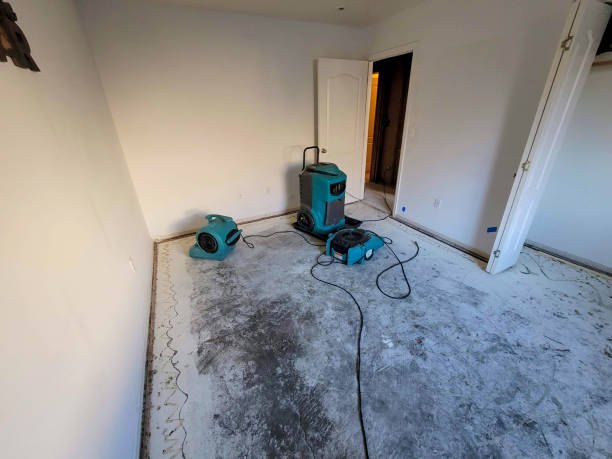 Best Water damage restoration near me  in Swifton, AR