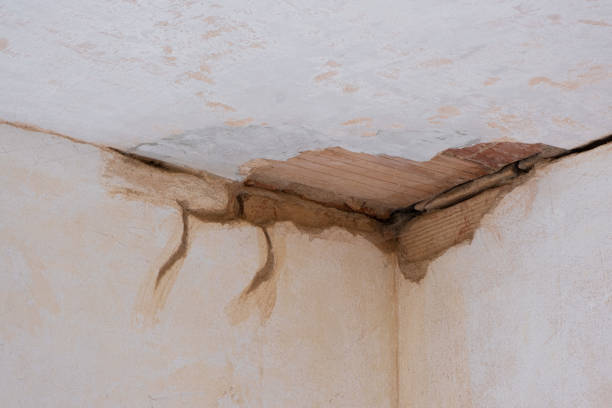 Best Water damage restoration near me  in Swifton, AR