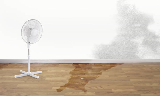 Best Water damage restoration cost  in Swifton, AR