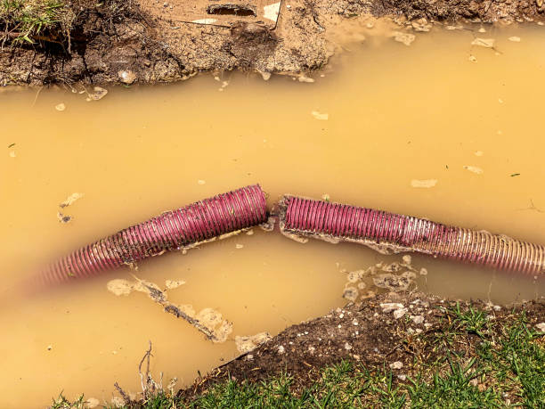 Best Professional water damage repair  in Swifton, AR