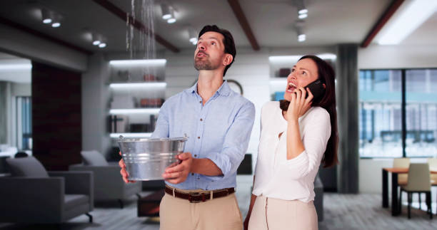 Trusted Swifton, AR Water damage restoration Experts