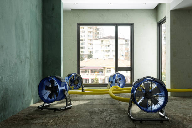 Best Basement water damage restoration  in Swifton, AR